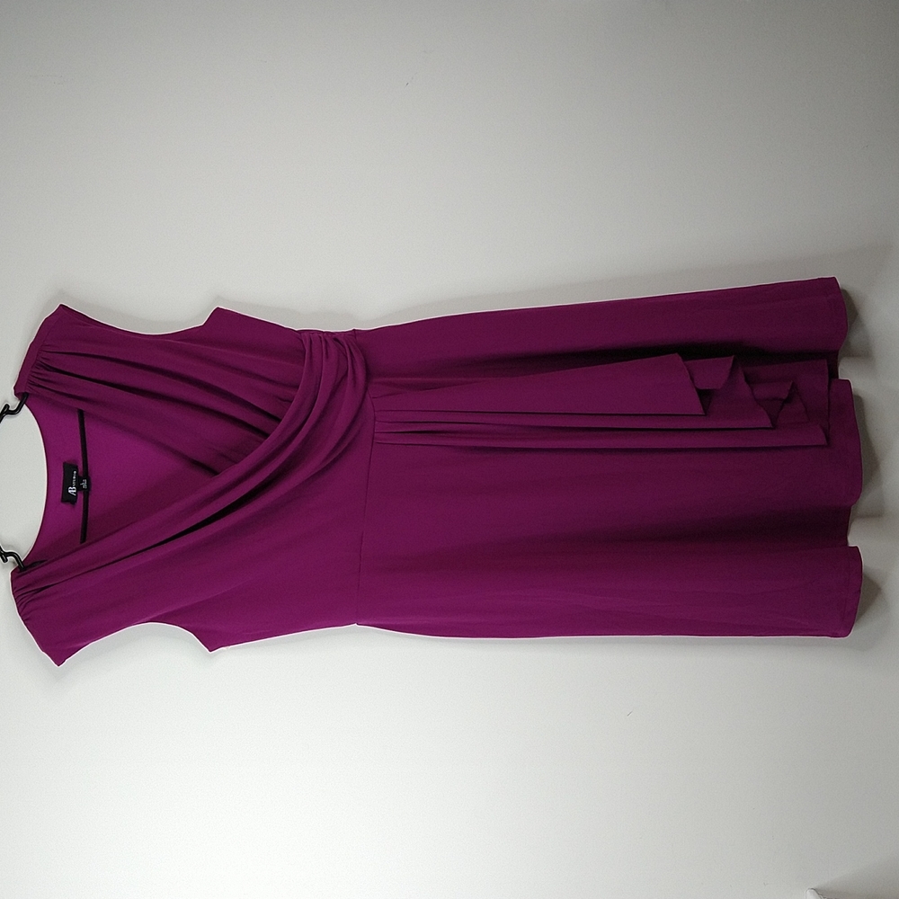 Women's Sleeveless Plumb Sleeveless Dress Size: L